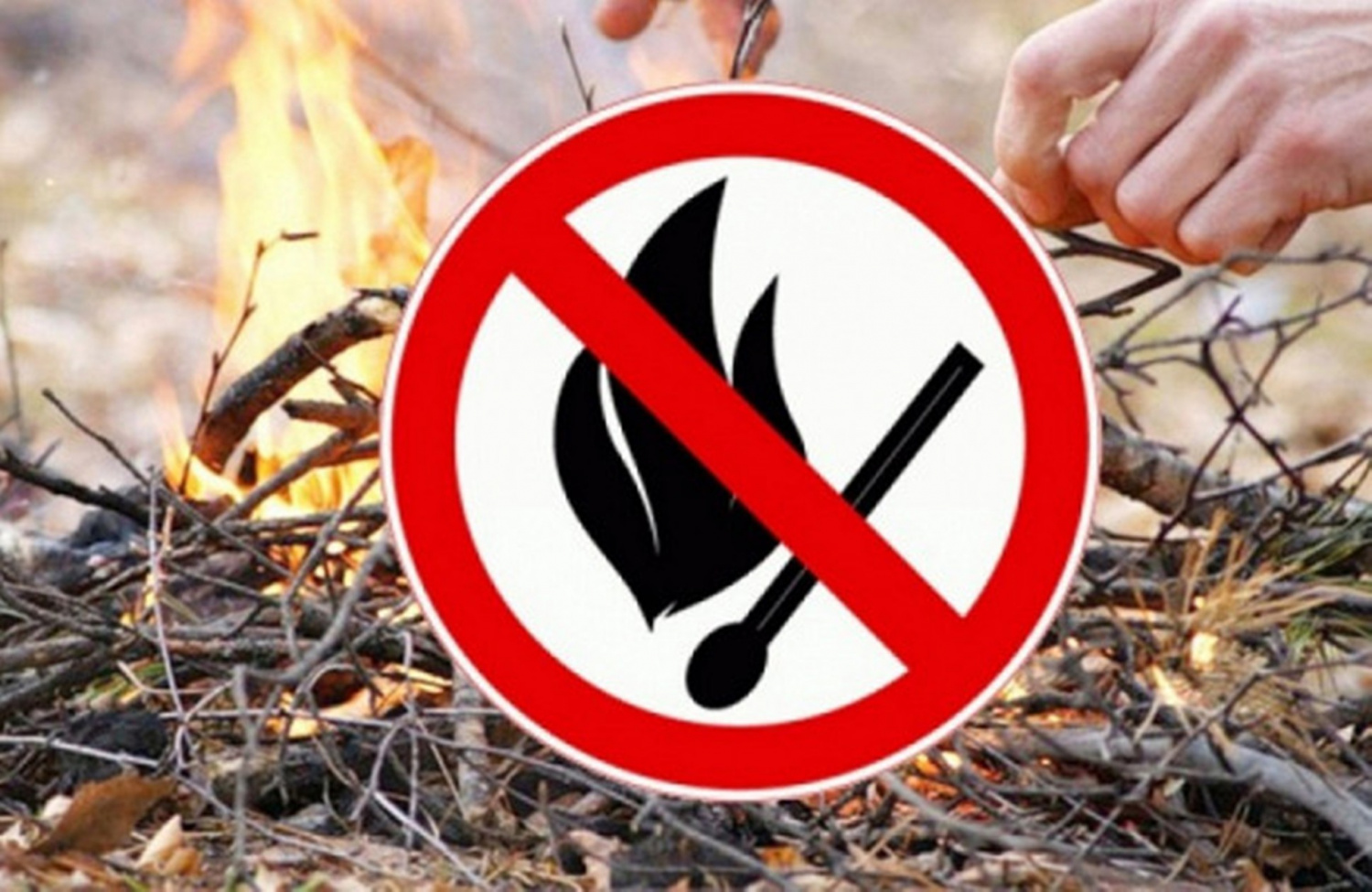 В Малосердобинском действует особый противопожарный режим В Малосердобинском действует особый противопожарный режим