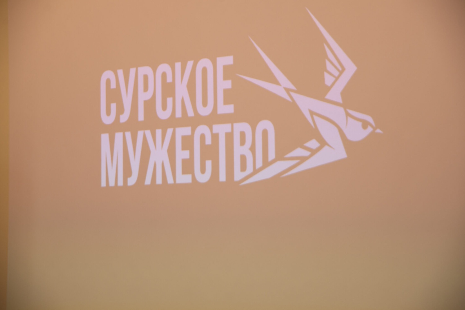 С сентября 2025 года на базе арт-поместья «Новые берега» автономной некоммерческой организации «Квартал Луи» реализуется пилотный проект, направленный на социальную реабилитацию и адаптацию к мирным условиям жизни ветеранов специальной военной операции.