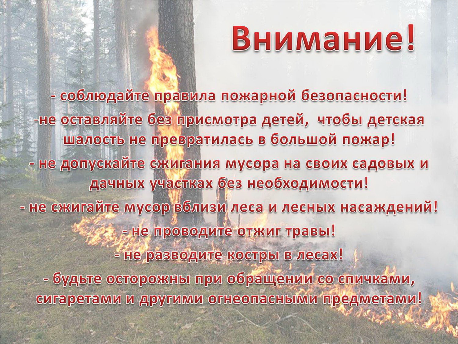 Основные причины возникновения лесных пожаров Основные причины возникновения лесных пожаров