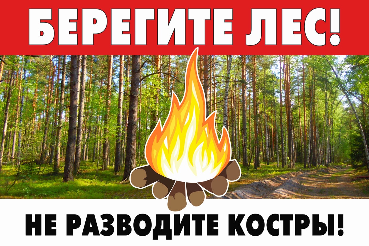 Правила поведения в лесу в пожароопасный период Правила поведения в лесу в пожароопасный период