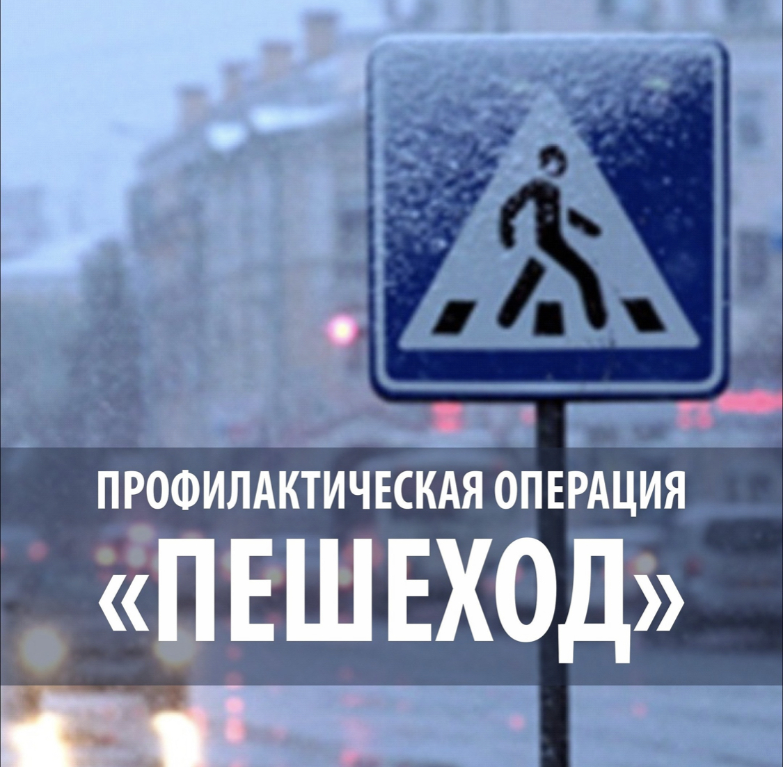 Профилактическое мероприятие «Пешеход» Профилактическое мероприятие «Пешеход»