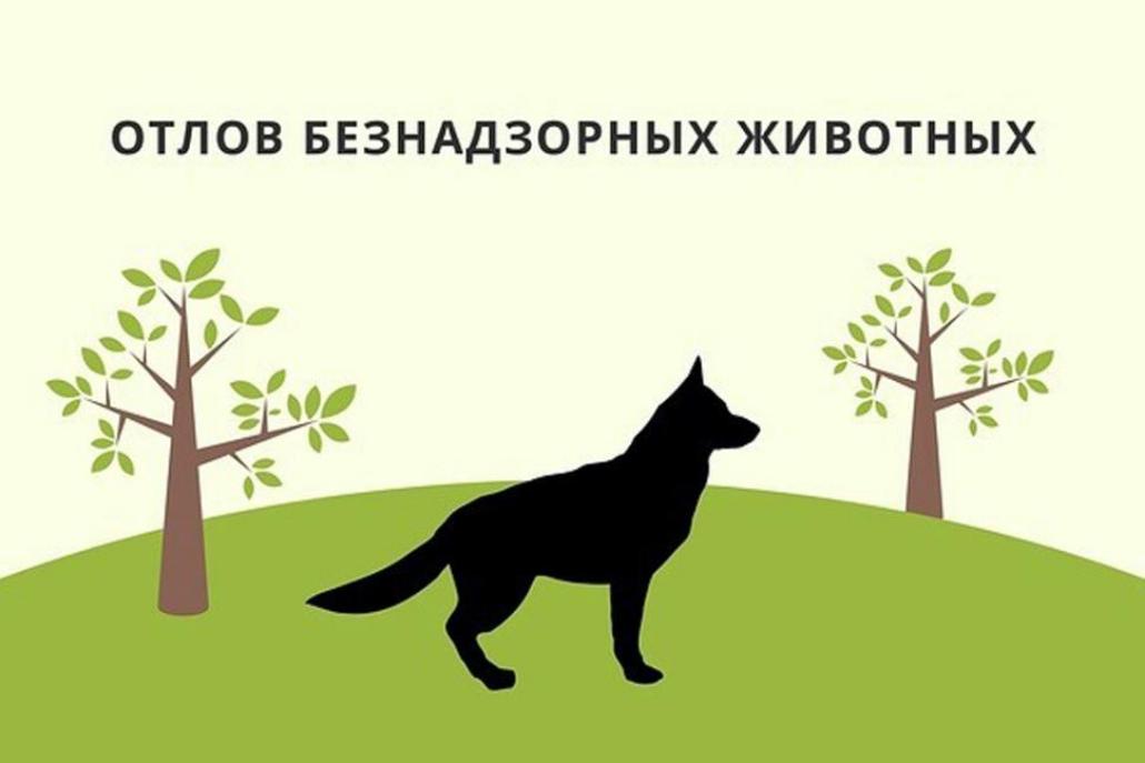 Обращение по отлову безнадзорных животных можно направить в администрацию Малосердобинского района Обращение по отлову безнадзорных животных можно направить в администрацию Малосердобинского района