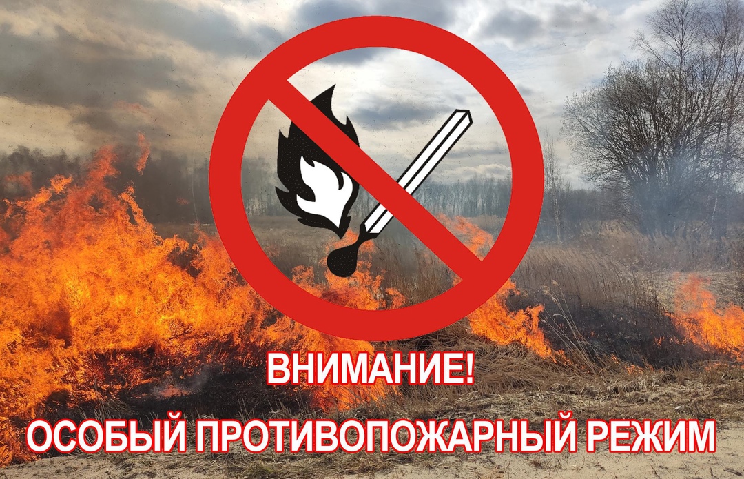 На территории Пензенской области с 28 мая 2025 года и до особого распоряжения введен особый противопожарный режим! На территории Пензенской области с 28 мая 2025 года и до особого распоряжения введен особый противопожарный режим!