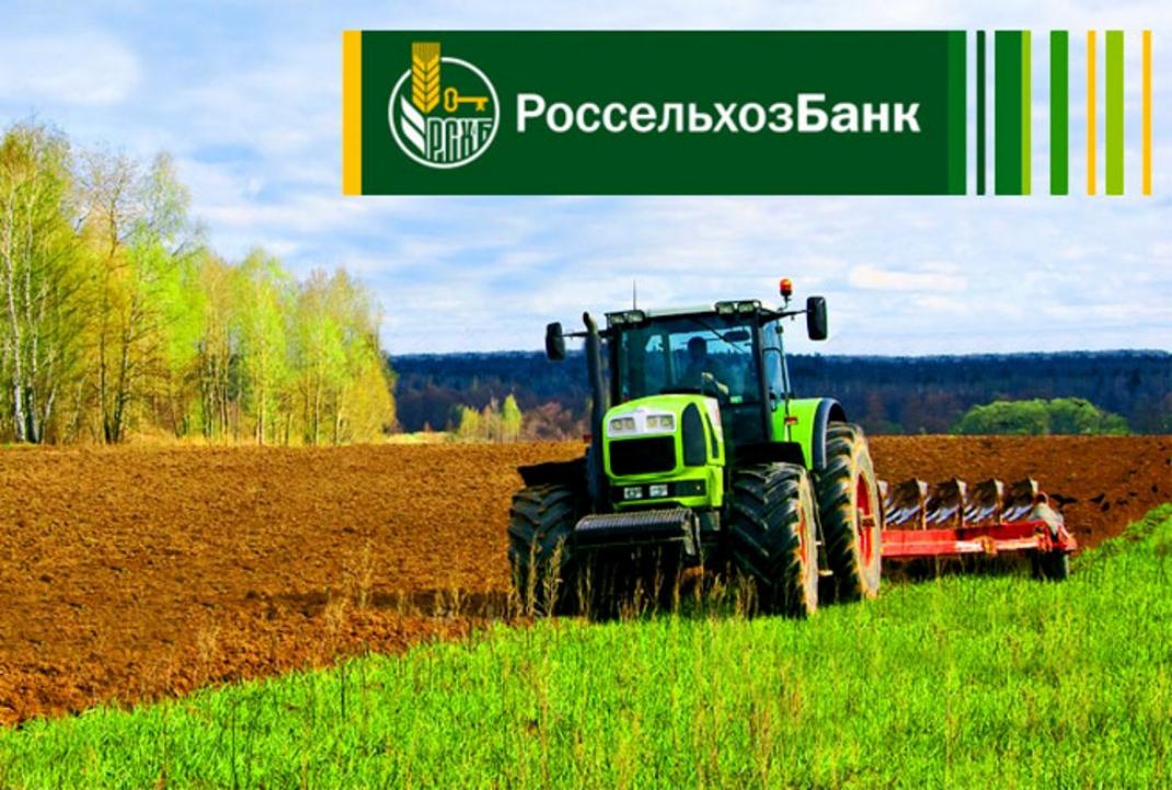 С начала года Россельхозбанк предоставил на проведение сезонных работ в регионе около 3,9 млрд рублей