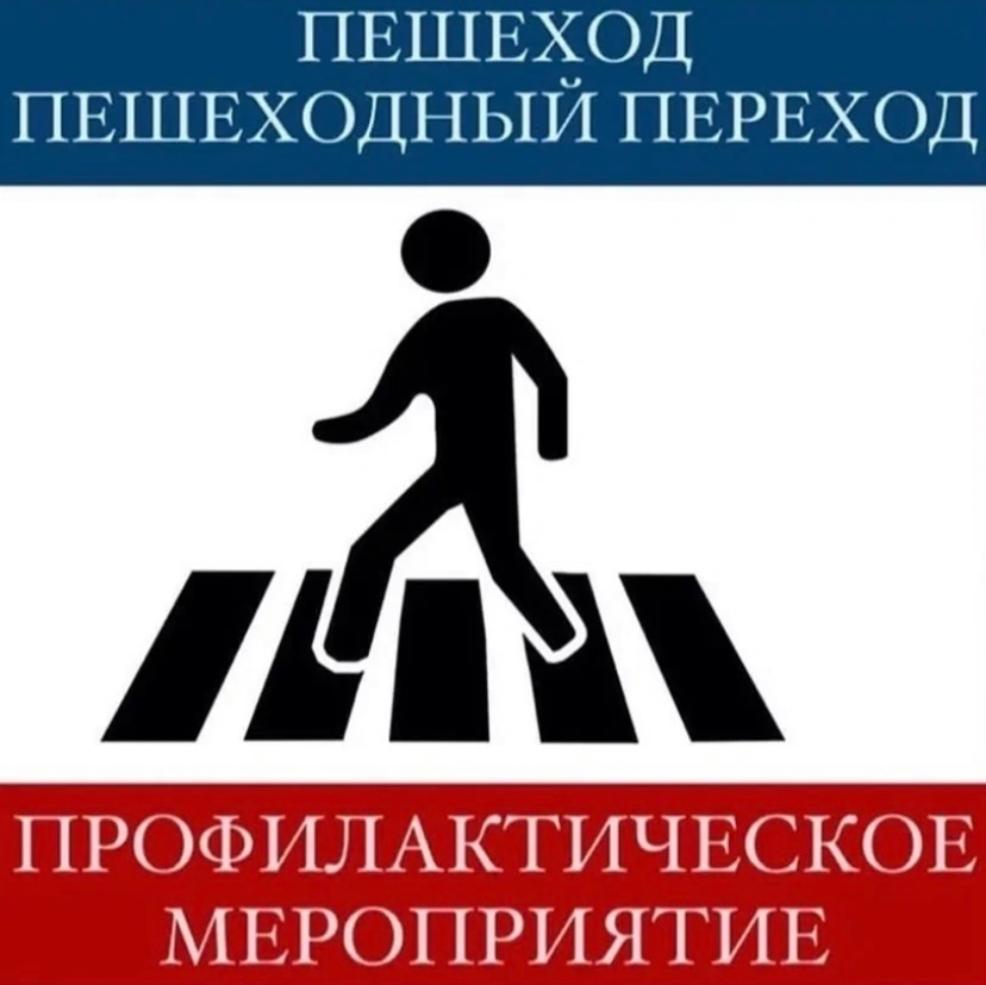 Автоинспекторы отделения ГИБДД МО МВД России «Колышлейский» усилят контроль за соблюдением Правил дорожного движения на пешеходных переходах