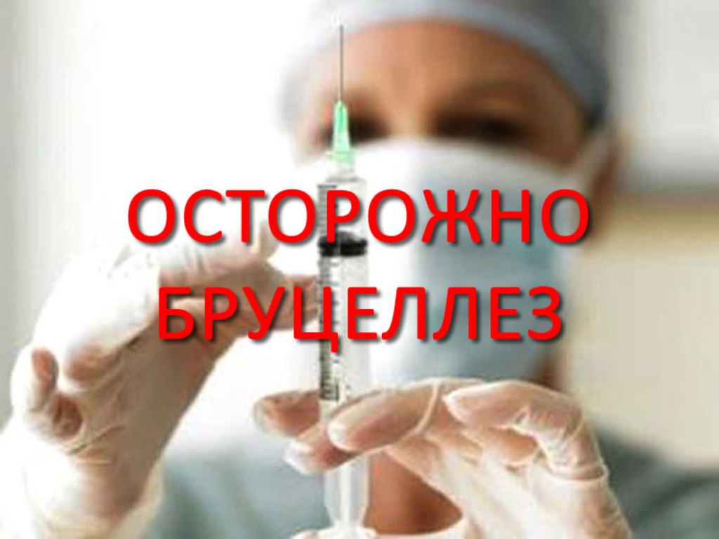 «Бруцеллез – это опасно!» «Бруцеллез – это опасно!»