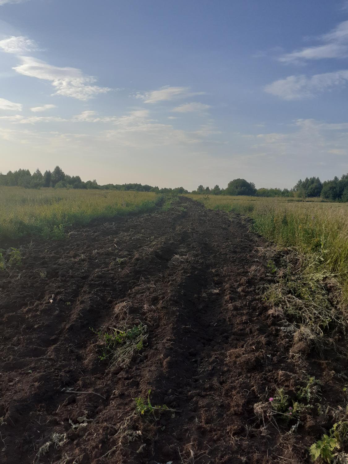 В Майском сельсовете обновлена минерализованная полоса В Майском сельсовете обновлена минерализованная полоса