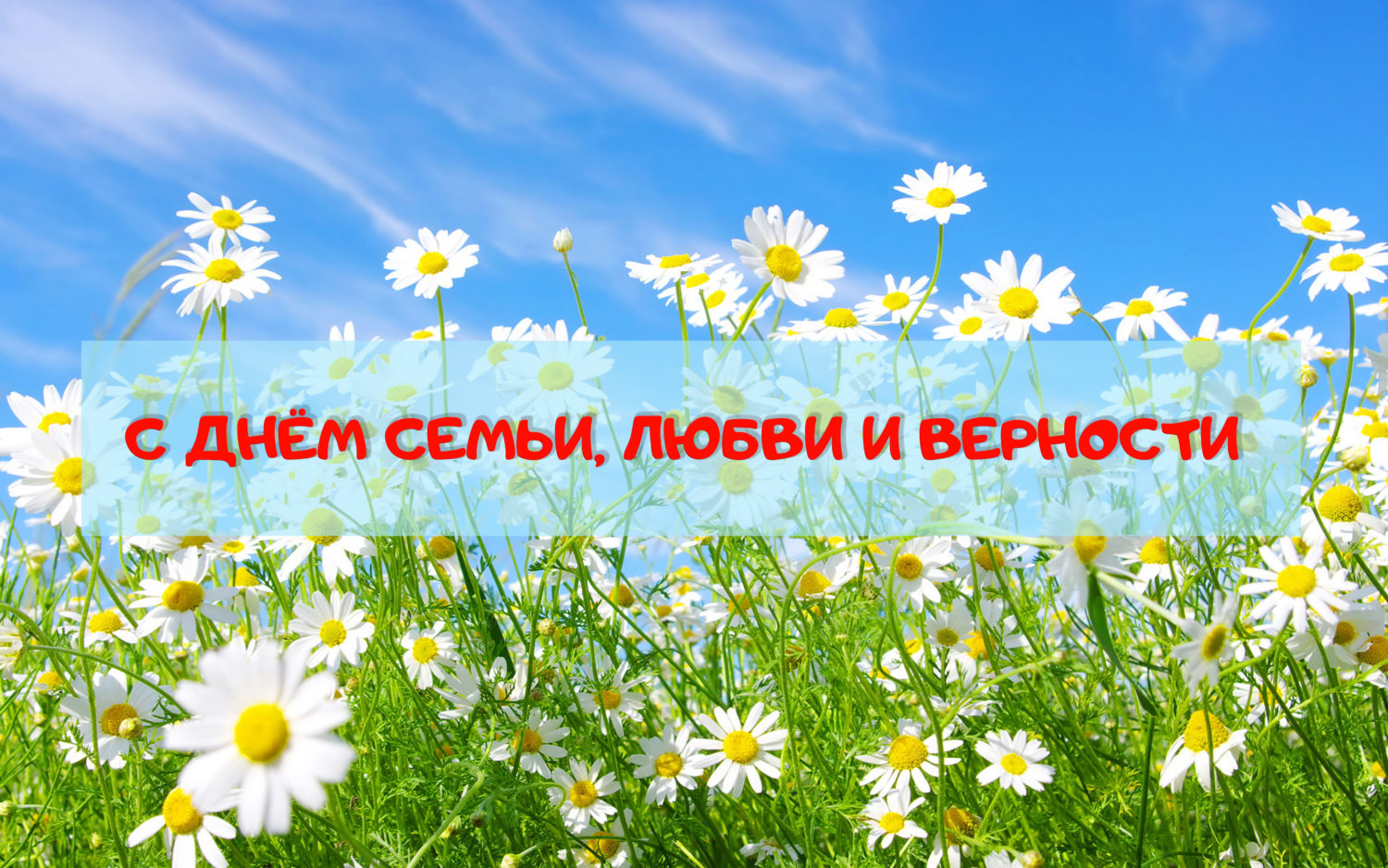 Поздравление главы администрации Малосердобинского района Ивана Алексеевича Кирюхина с Днем семьи, любви и верности Поздравление главы администрации Малосердобинского района Ивана Алексеевича Кирюхина с Днем семьи, любви и верности