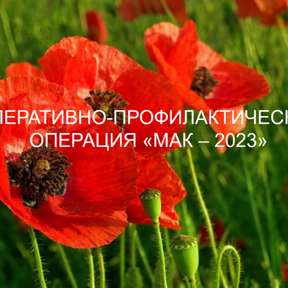 На территории Пензенской области с 21 по 30 августа проводится второй этап оперативно-профилактической операции «Мак-2023» На территории Пензенской области с 21 по 30 августа проводится второй этап оперативно-профилактической операции «Мак-2023»
