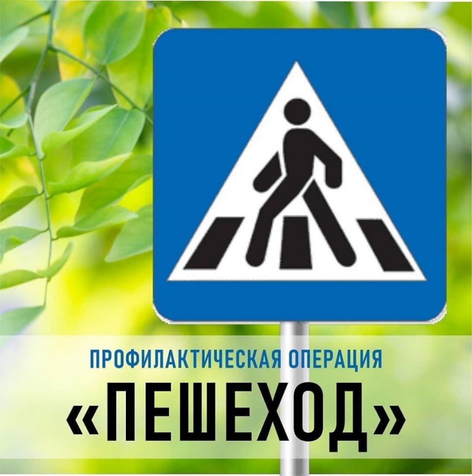 Профилактическое мероприятие «Пешеход, пешеходный переход» Профилактическое мероприятие «Пешеход, пешеходный переход»