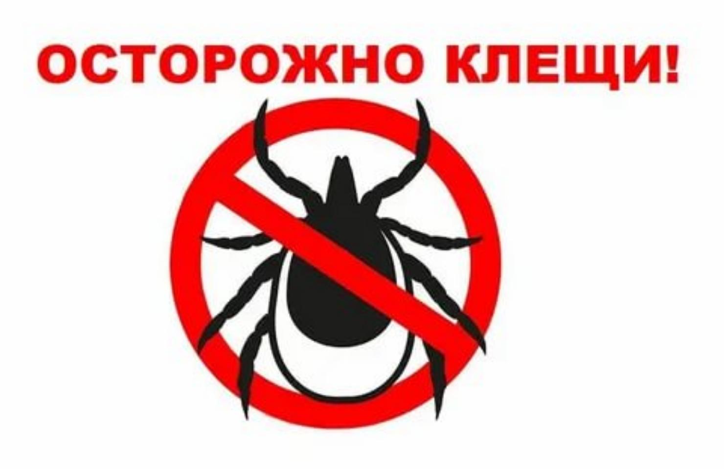 Осторожно – клещи! Памятка для детей и взрослых 