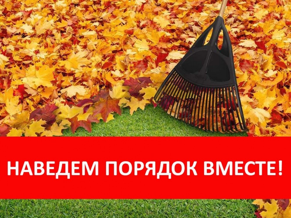 Наведем порядок вместе! Наведем порядок вместе!