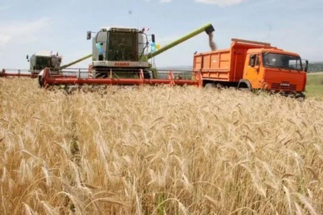 Уборка   зерновых культур  в хозяйствах Малосердобинского района
