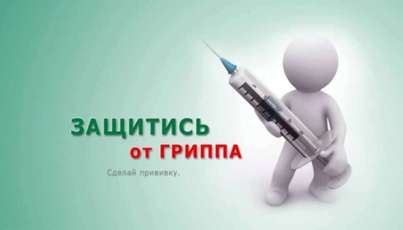 Вакцинопрофилактика против гриппа Вакцинопрофилактика против гриппа