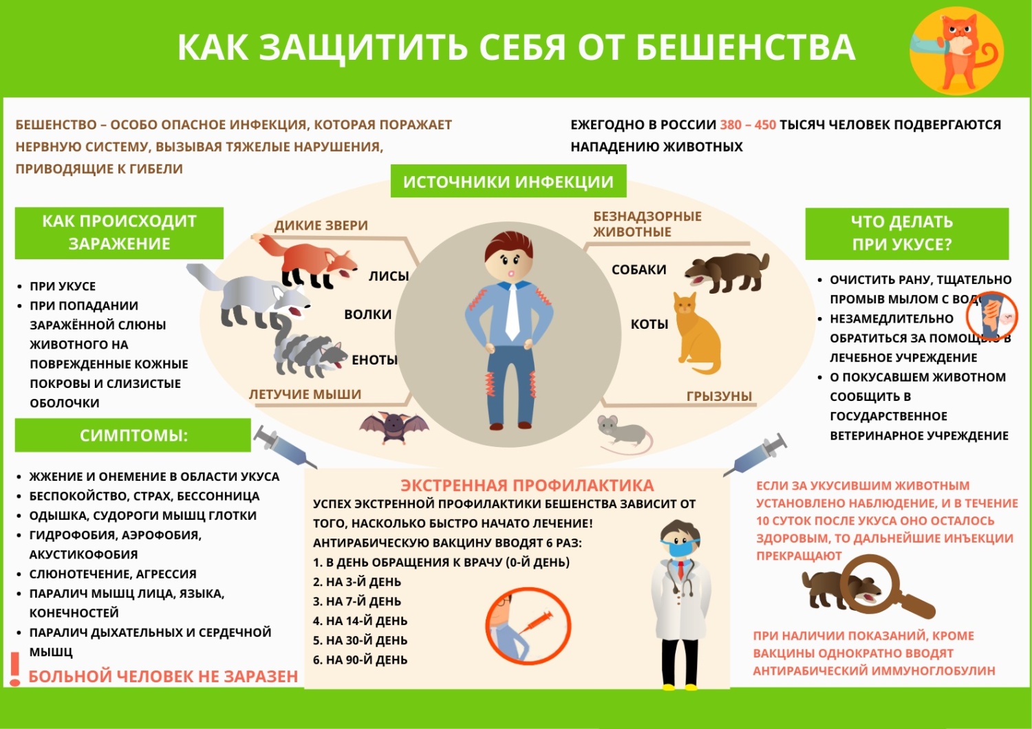 "Меры профилактики против бешенства".