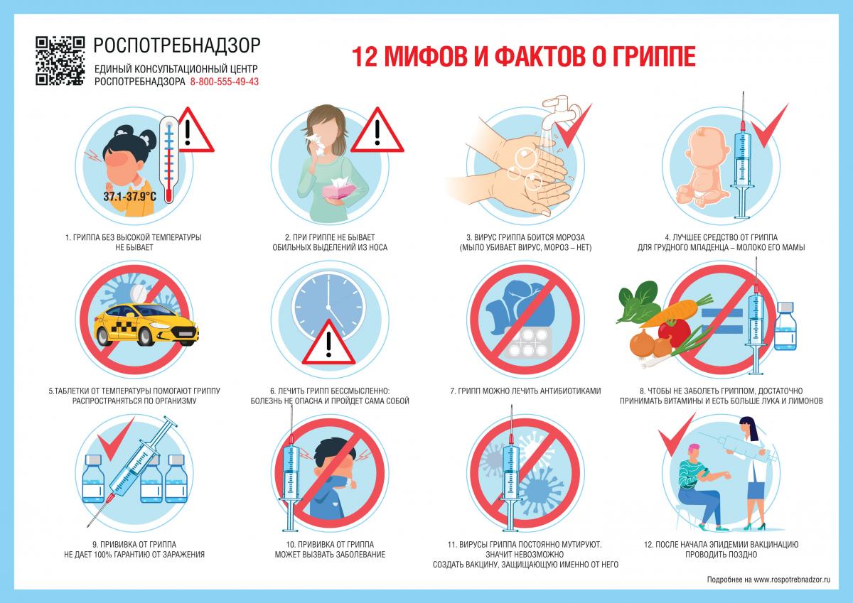 12 мифов и фактов о гриппе 12 мифов и фактов о гриппе