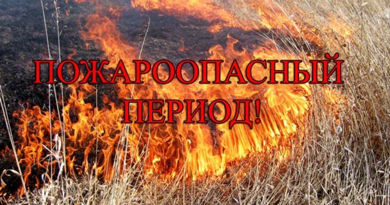 Пожарная безопасность в весенний период Пожарная безопасность в весенний период
