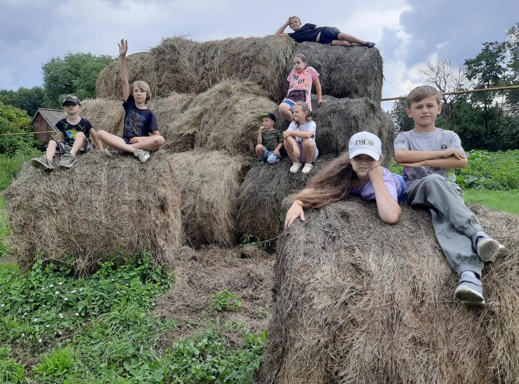«В природе столько красоты!».