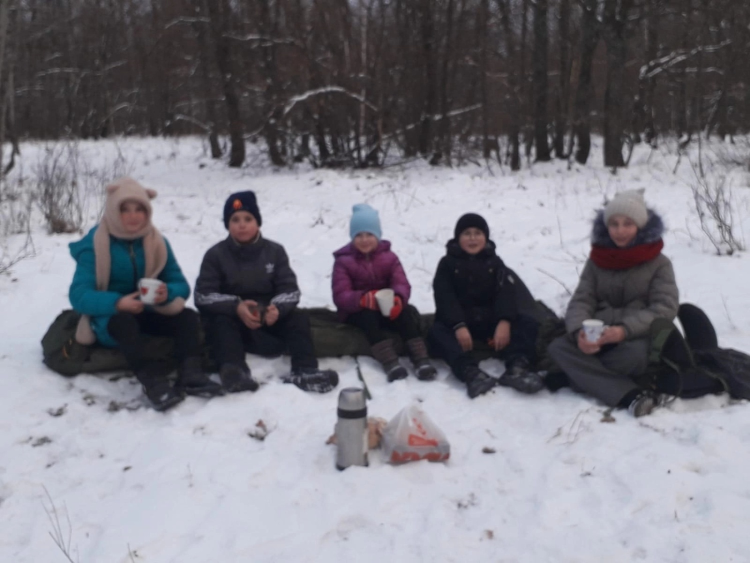 Активисты Движения Первых объединения «Пешеходный туризм совершили пешую прогулку в лес.