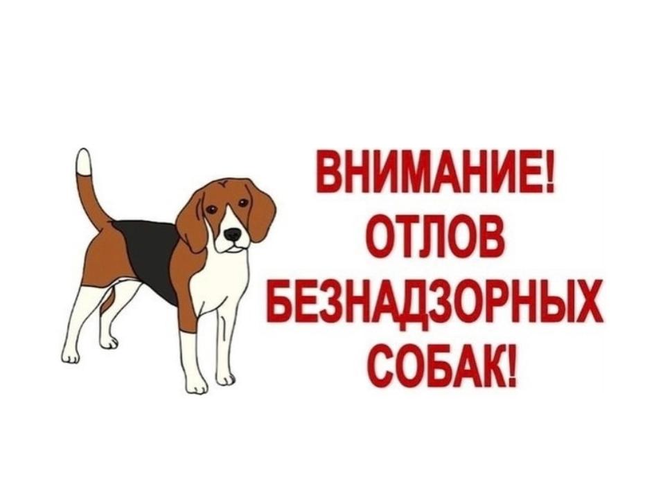 Уважаемые жители!