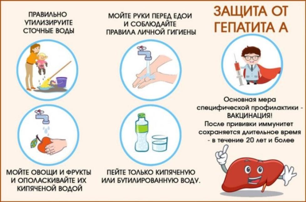 «Профилактика острого вирусного гепатита А».