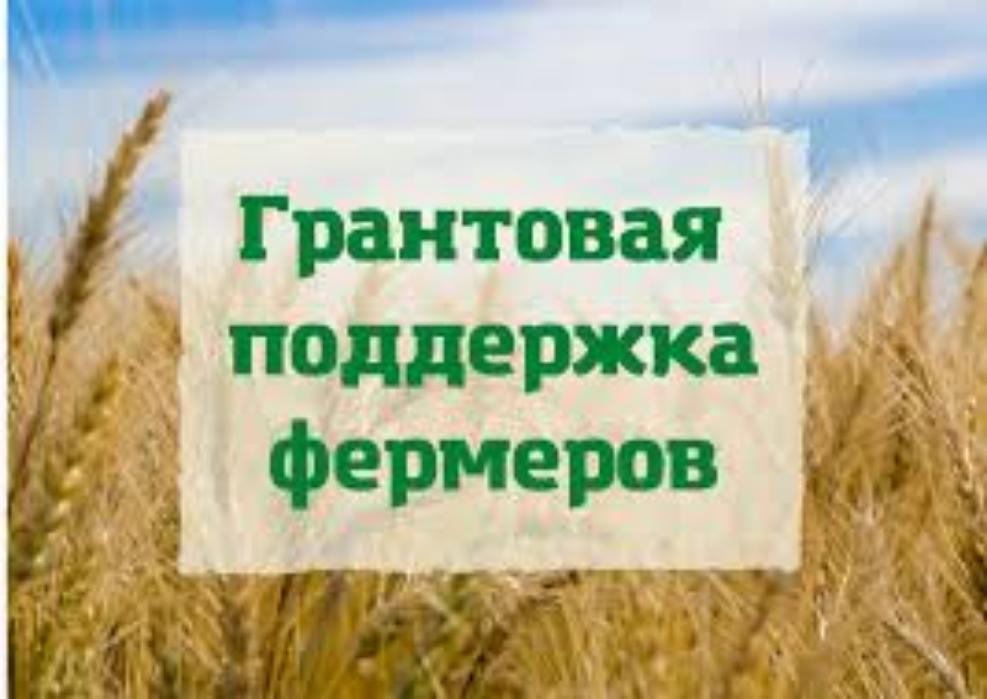 Правительство расширило поддержку сельхозпроизводителей, увеличив число получателей грантов и субсидий