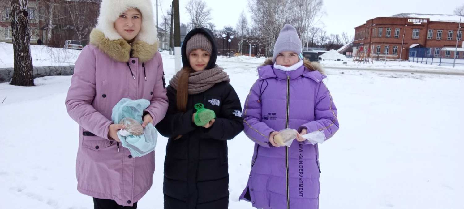Зимнее меню для птиц
