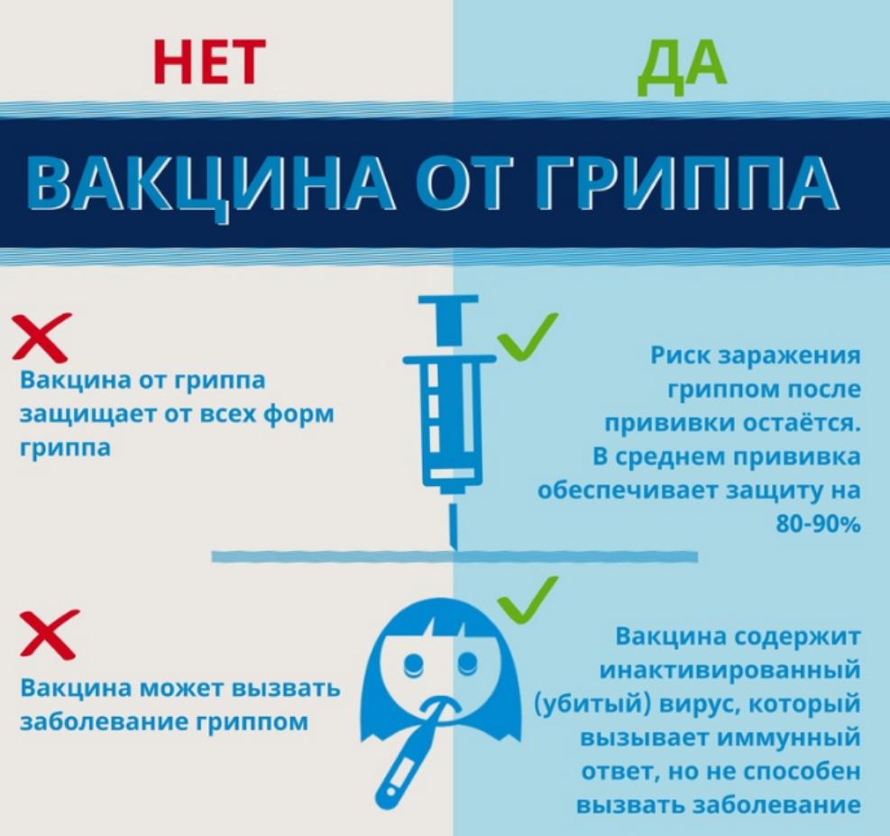 Вакцинация - лучший способ защиты от гриппа Вакцинация - лучший способ защиты от гриппа