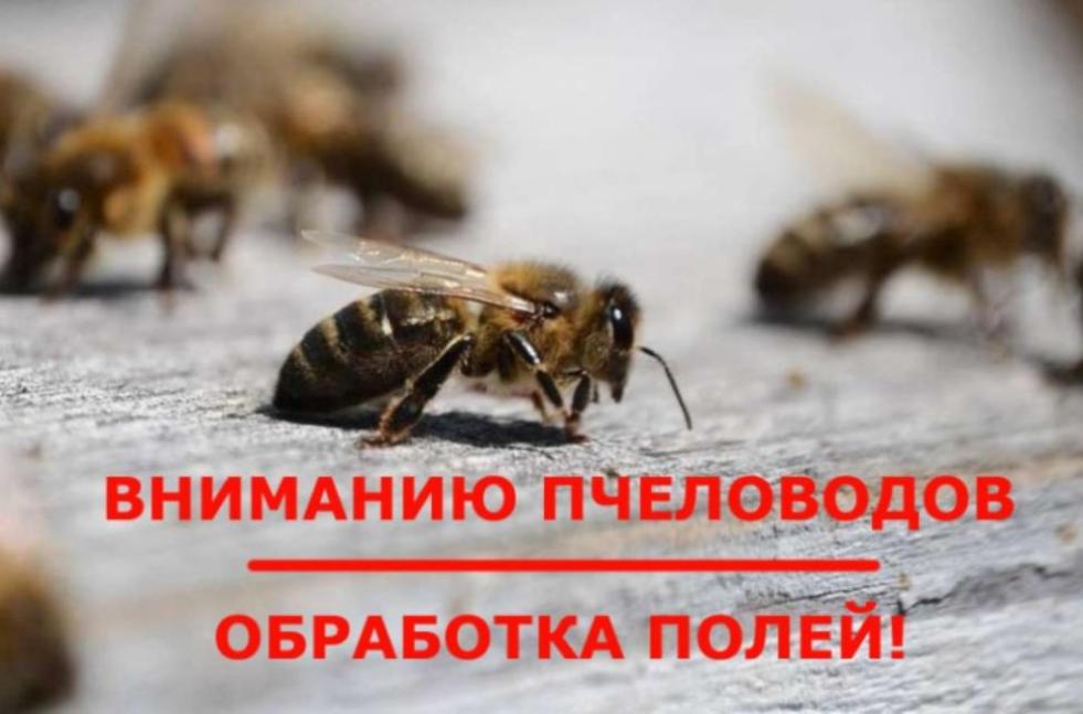 Внимание Пчеловодов! Обработка полей!