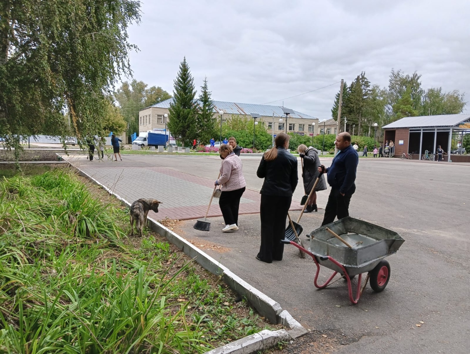 В Малосердобинском районе проведены работы по благоустройству закрепленных  территорий