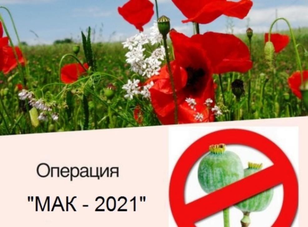 На территории Пензенской области пройдет третий этап межведомственной комплексной оперативно-профилактической операции «Мак-2021» На территории Пензенской области пройдет третий этап межведомственной комплексной оперативно-профилактической операции «Мак-2021»