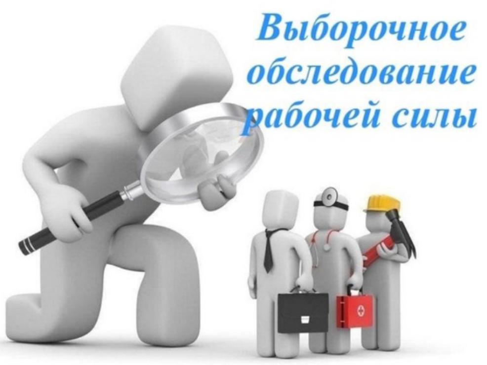 Выборочное обследование рабочей силы и Выборочное наблюдение участия населения в непрерывном образовании