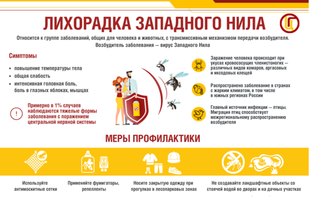 О мерах профилактики лихорадки Западного Нила и прочих инфекций, передаваемых при укусах комаров