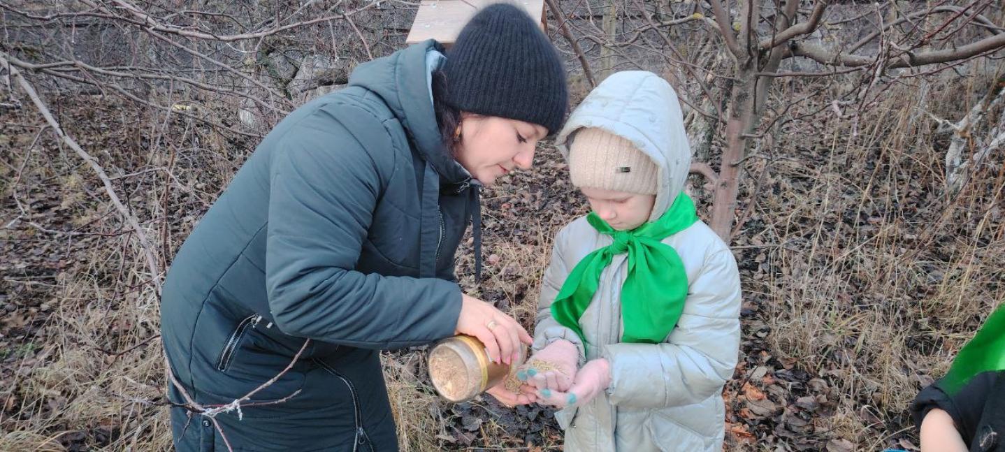 Зимний городок для птиц: забота юннатов Дома детского творчества Зимний городок для птиц: забота юннатов Дома детского творчества