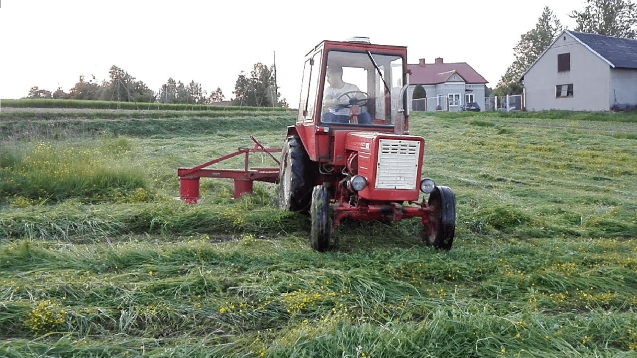 Сенозаготовка в хозяйствах населения