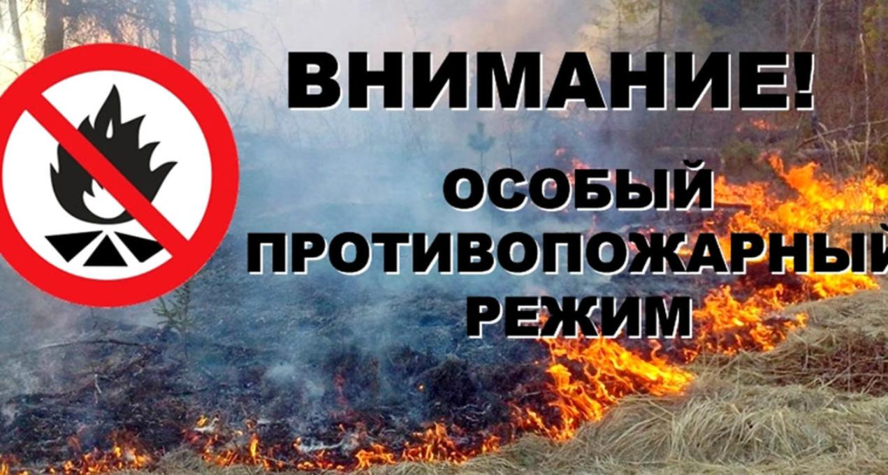 На территории Пензенской области введён особый противопожарный режим На территории Пензенской области введён особый противопожарный режим