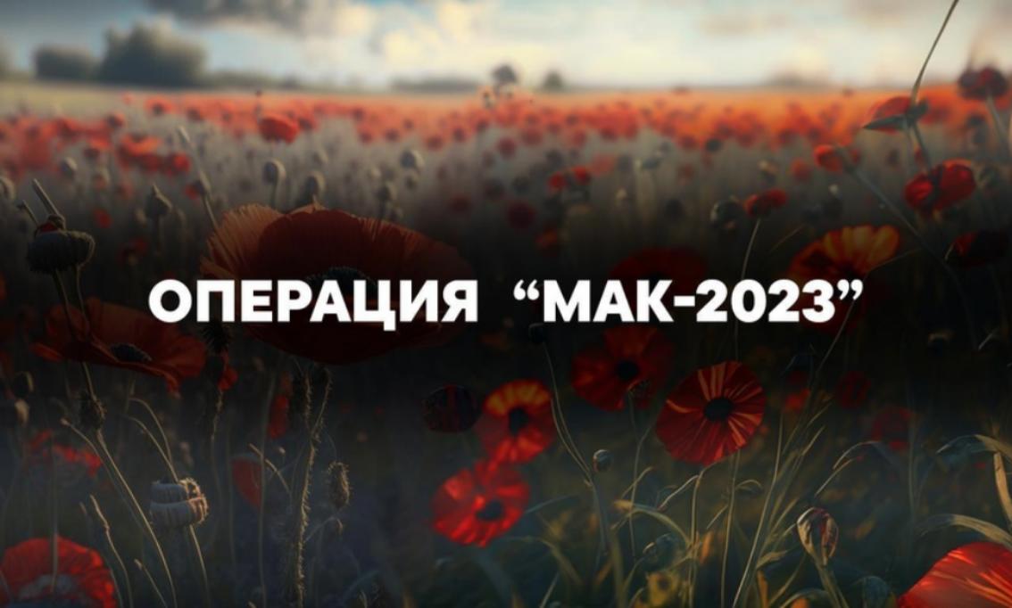 На территории Пензенской области с 19 по 28 июня 2023 года проводится первый этап межведомственной оперативно-профилактической операции «Мак-2023»