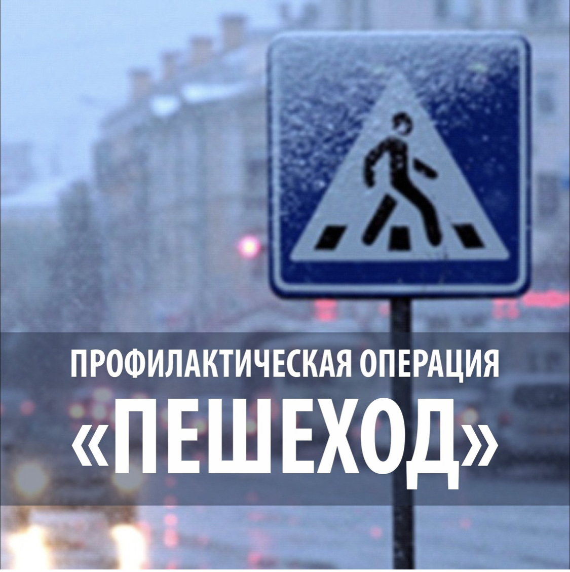 На территории Колышлейского и Малосердобинского районов будут проводиться рейдовые мероприятия по выявлению нарушений ПДД пешеходами. На территории Колышлейского и Малосердобинского районов будут проводиться рейдовые мероприятия по выявлению нарушений ПДД пешеходами.