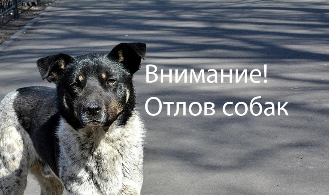 Уважаемые жители! Уважаемые жители!