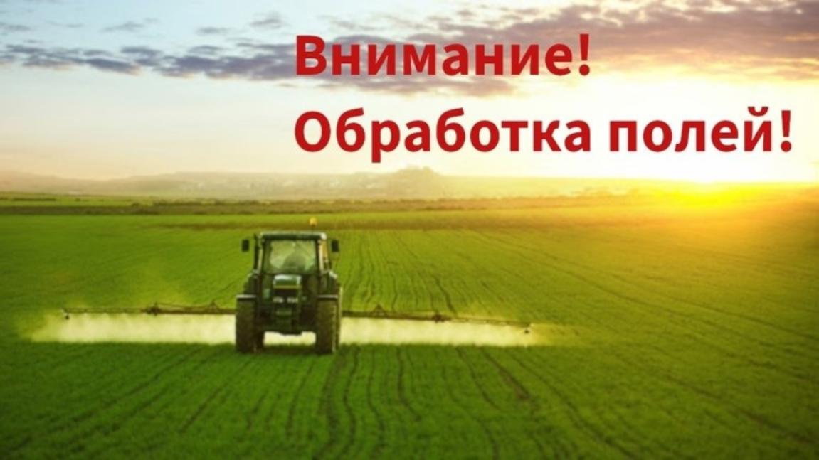 Внимание! Обработка полей! Внимание! Обработка полей!