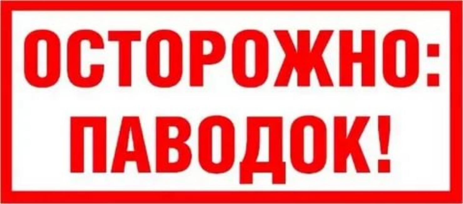 ПАМЯТКА НАСЕЛЕНИЮ В ПЕРИОД ВЕСЕННЕГО ПАВОДКА ПАМЯТКА НАСЕЛЕНИЮ В ПЕРИОД ВЕСЕННЕГО ПАВОДКА