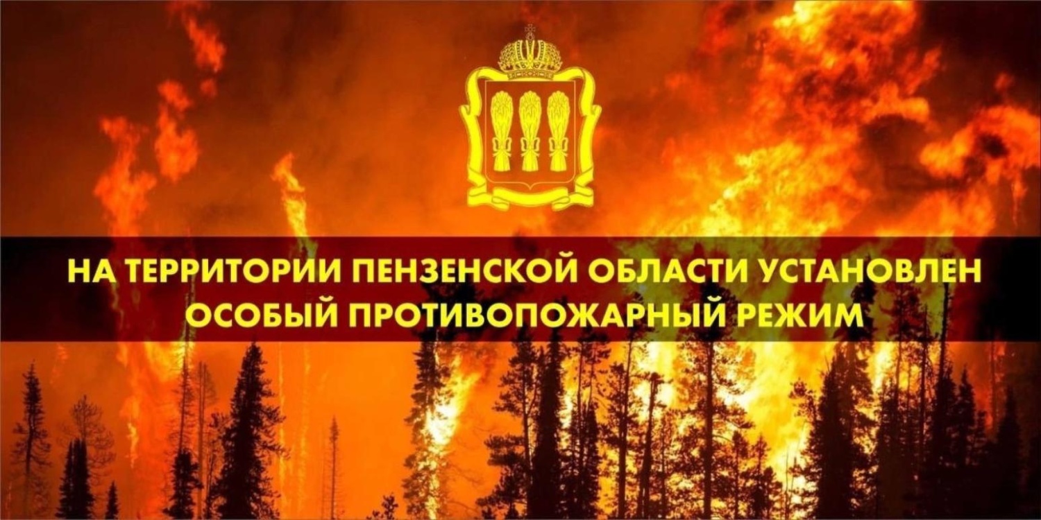 На территории Пензенской области с 1 июня 2024 года и до особого распоряжения введен  особый противопожарный режим