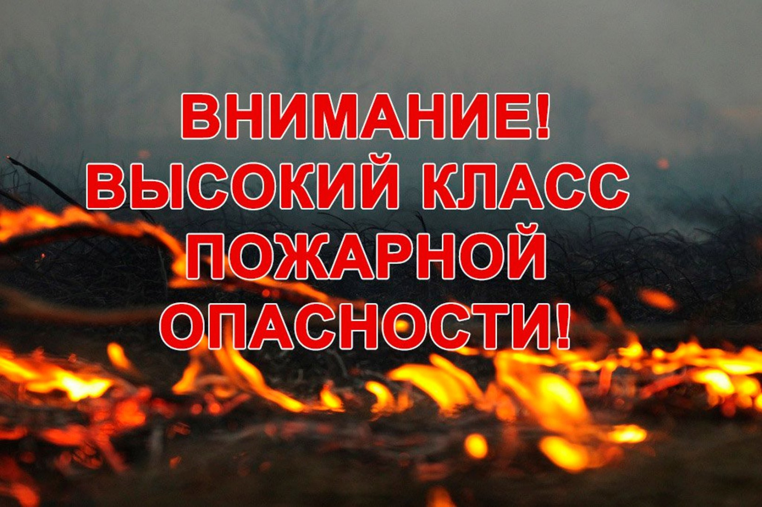 Пожарная опасность в лесах. Классы пожарной опасности Пожарная опасность в лесах. Классы пожарной опасности