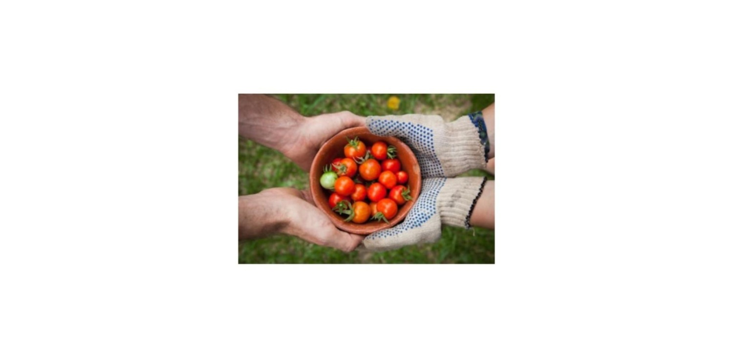 Предприниматели смогут продавать свежие продукты на Озон Предприниматели смогут продавать свежие продукты на Озон