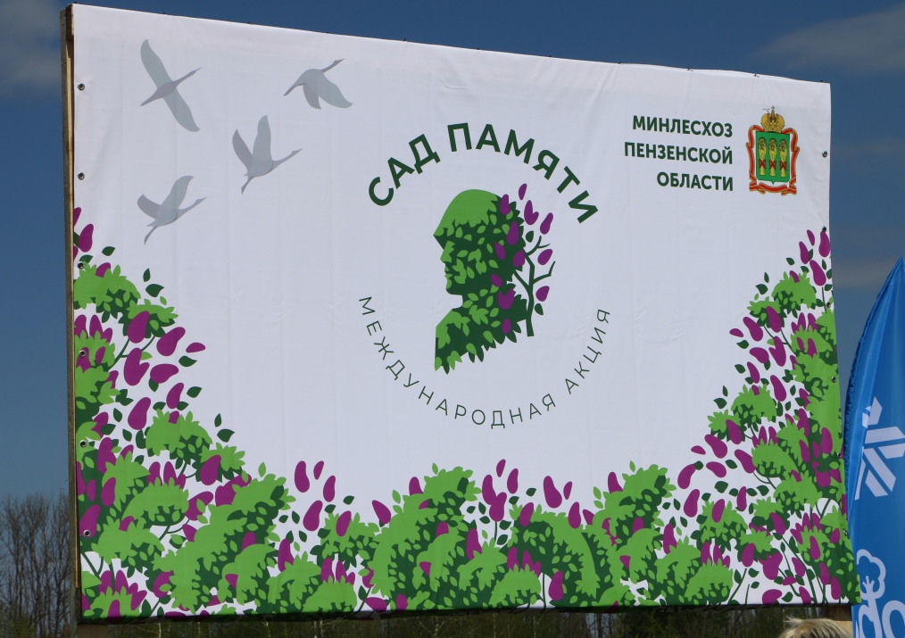 В Пензенской области в рамках акции «Сад Памяти» высадят более 60 тысяч деревьев