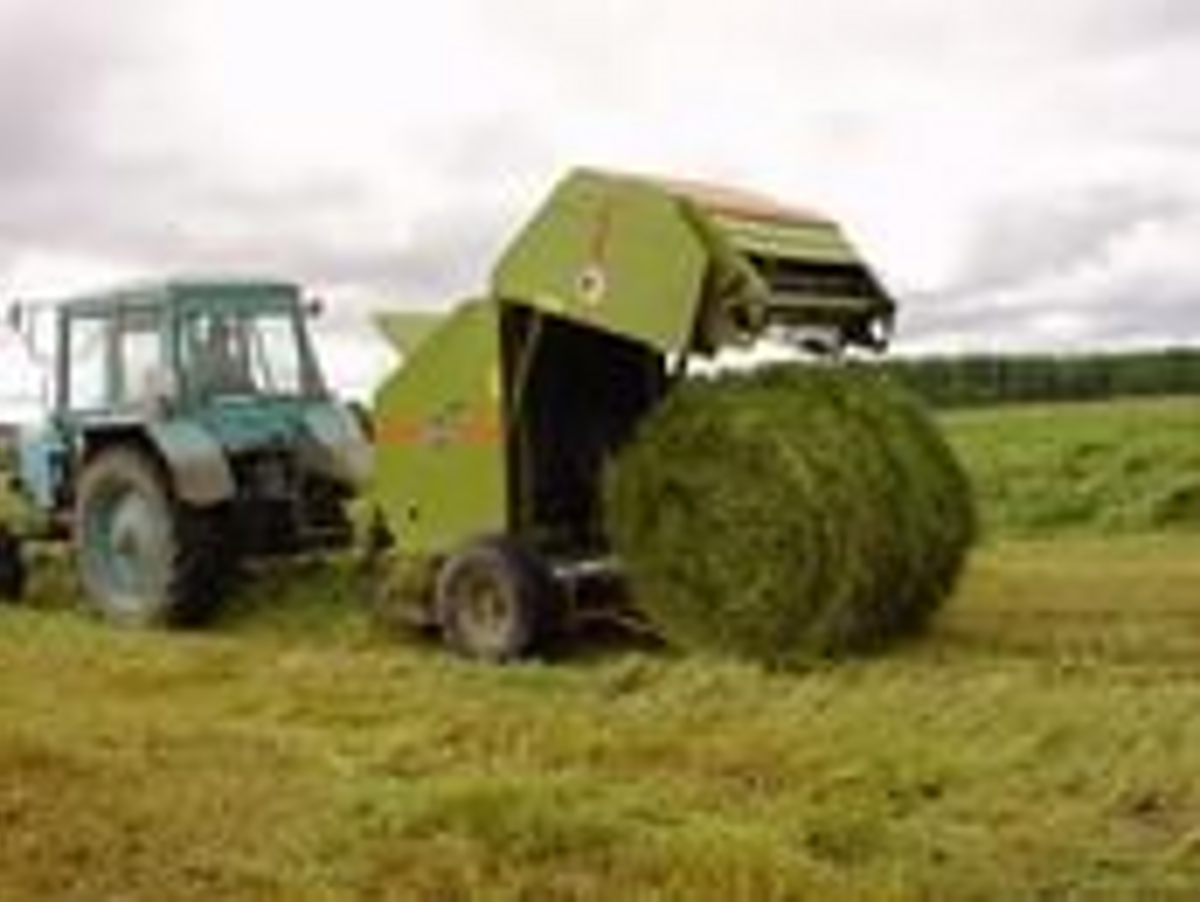  Хозяйства Малосердобинского района ведут заготовку грубых кормов 