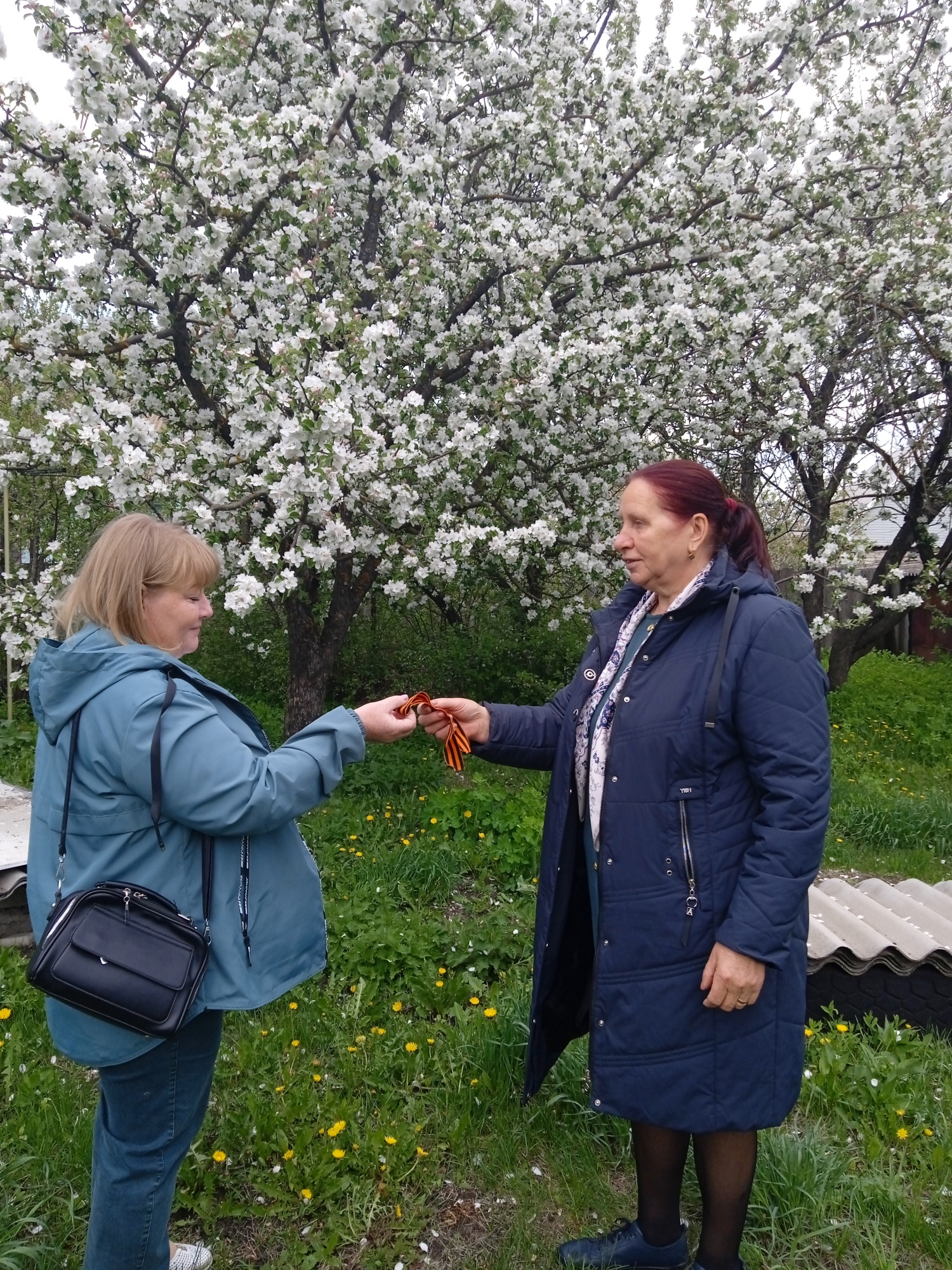 Работники культуры МБУК «Липовский КДЦ» Липовского СДК раздавали символы Победы в Великой Отечественной войне