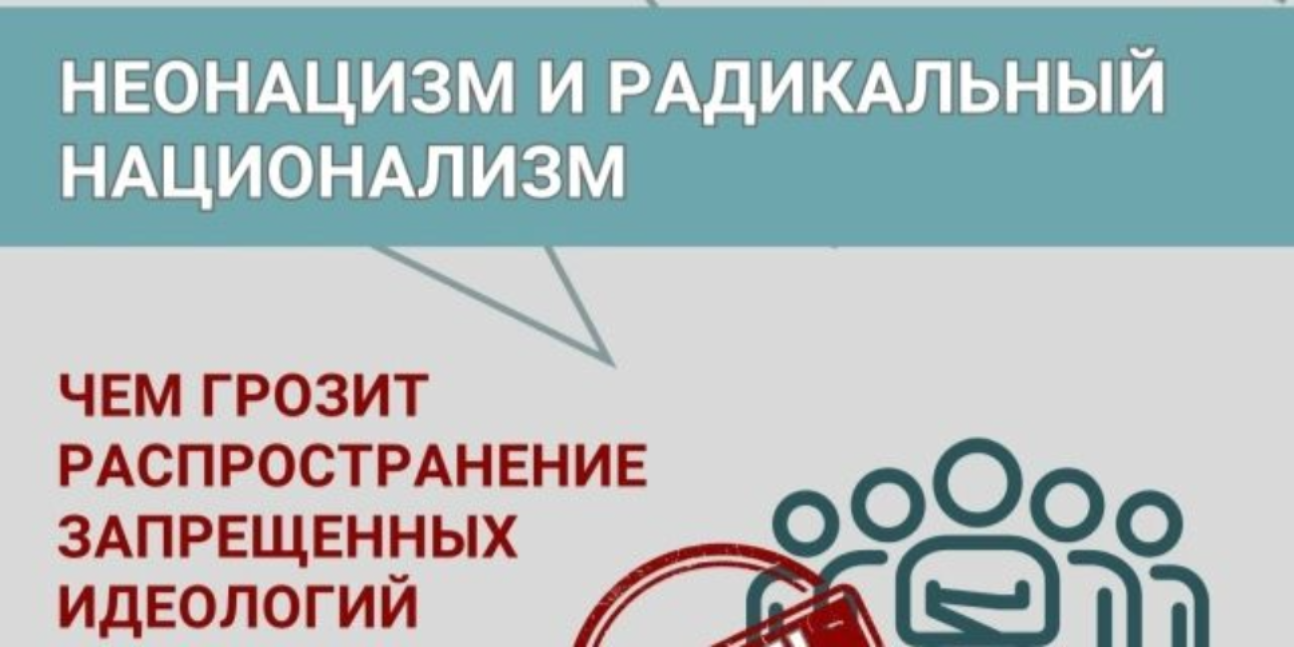 Информационные карточки «Неонацизм и радакальный национализм»