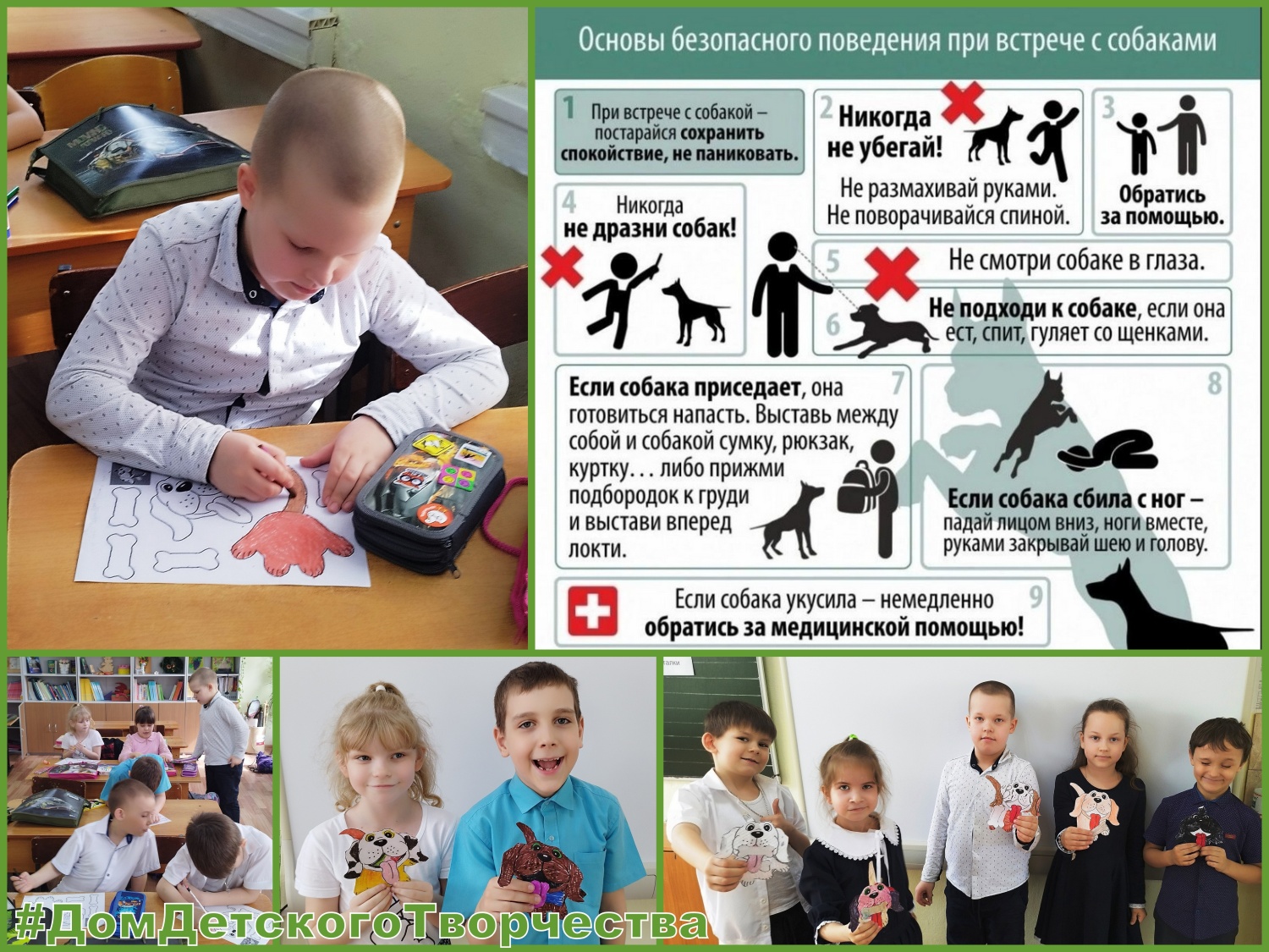 Осторожно – бродячие собаки!!! Осторожно – бродячие собаки!!!