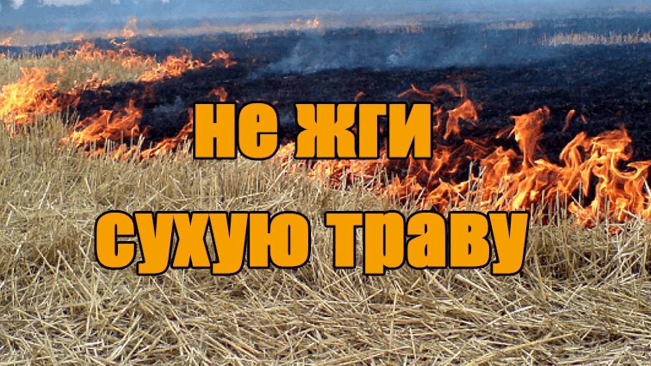 Мы обращаемся ко всем гражданам: не жгите сухую траву!